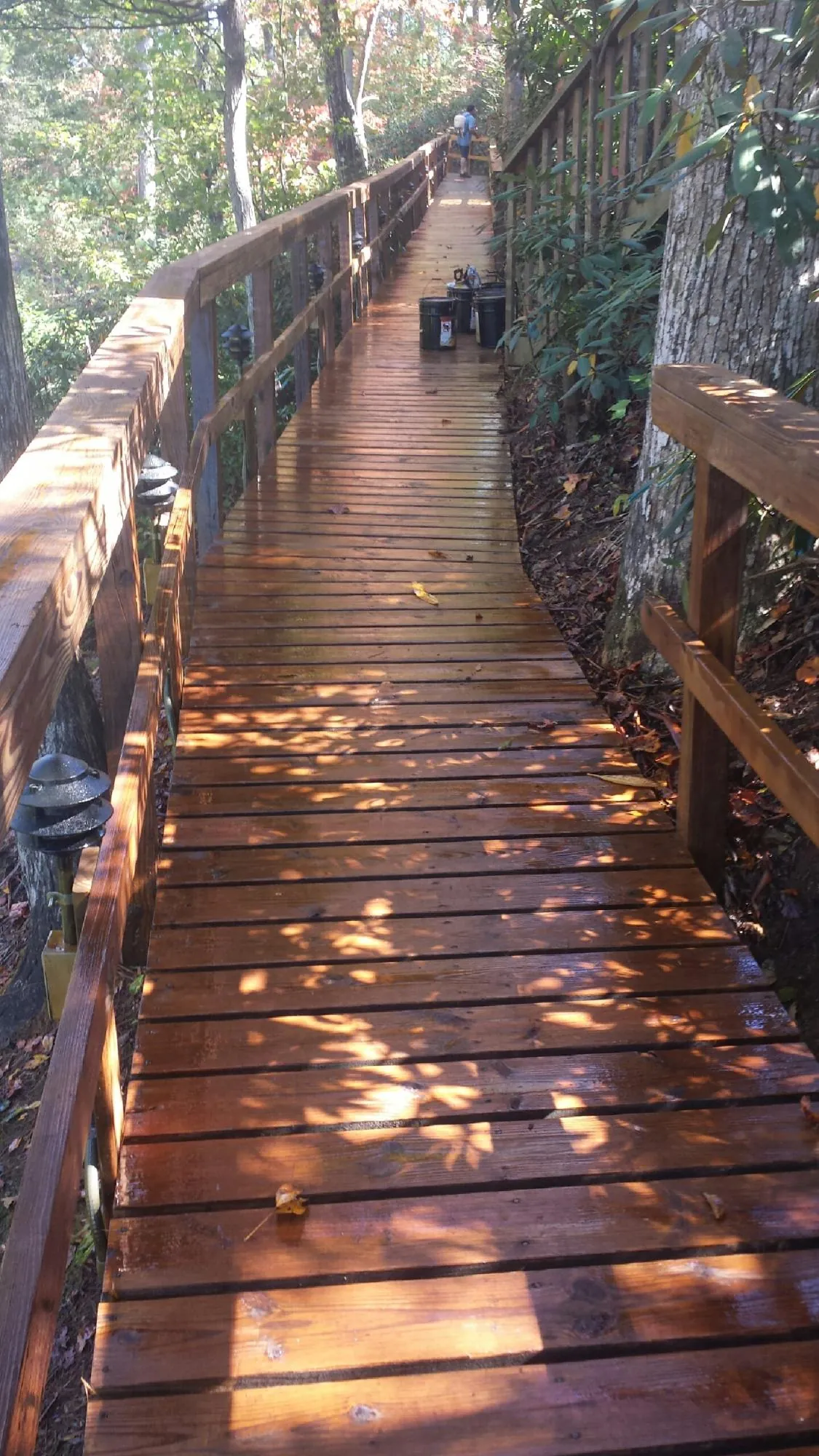Freshly stained wood walkway winding through the woods in Berwyn